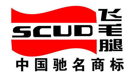 福建飞毛腿股份有限公司