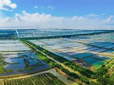 网编来解答下环境生态检测机构的基本作用是什么呢? 网编来解答下环境生态检测机构的基本作用是什么呢?