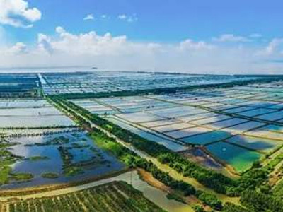 渔业养殖水质检测