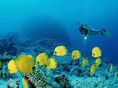 海洋生物检测